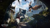 screenshot.witcher-3-wild-hunt-complete-edition.1280x720.2022-12-16.18.jpg