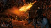 screenshot.witcher-3-wild-hunt-complete-edition.1280x720.2022-12-16.24.jpg