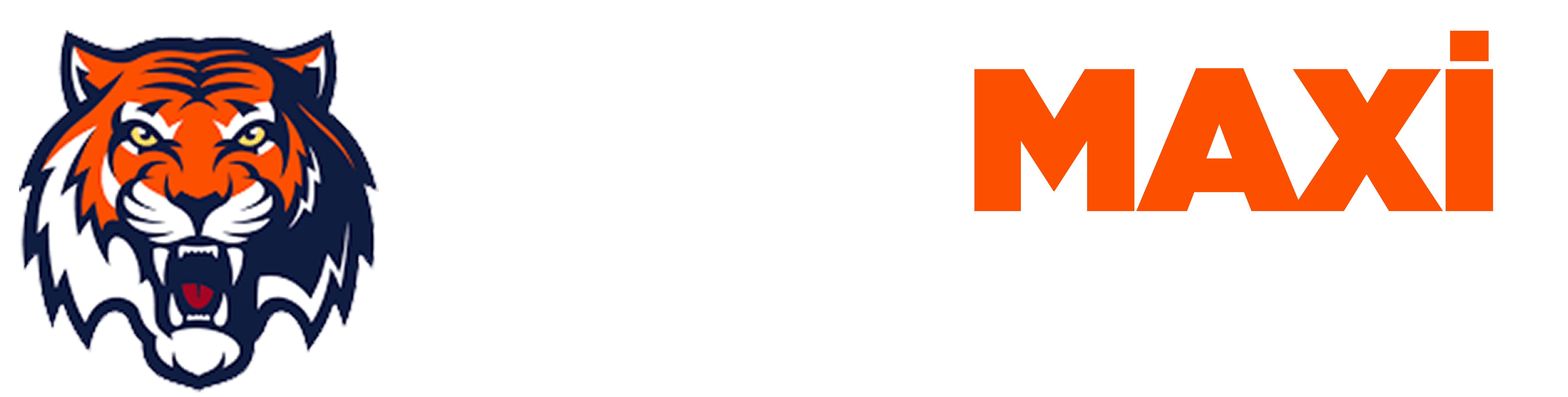 Webmaster Forumu  - Turkmaxi.org